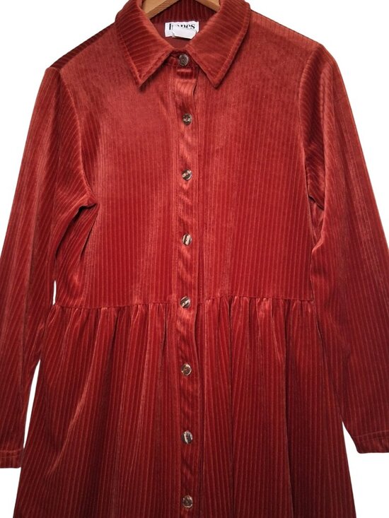 Hanes Signature Collection Dresses & Skirts - Vintage Hanes Signature Collection Dress Small Rust Ribbed Velour Button Earthy